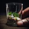 Ready-Made Miniature Roman Terrarium By Bantam.Earth