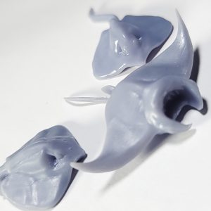 Floating Stingray Decoy Pack - Aquarium Decor | Bantam.Earth