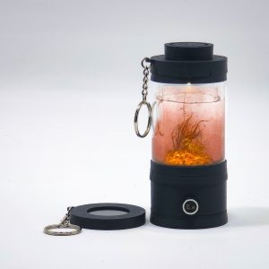 Miniature Blackwater Aquarium Keychain