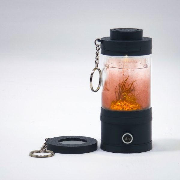 Miniature Blackwater Aquarium Keychain