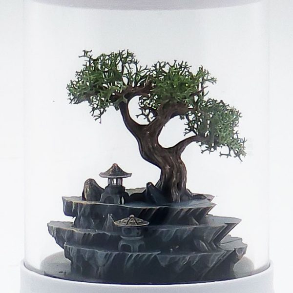 Ready-Made Miniature Bonsai Terrarium By Bantam.Earth