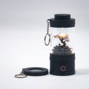 Ready-Made Miniature Bonsai Terrarium By Bantam.Earth