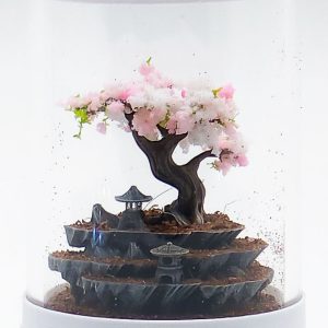 Ready-Made Tiny Bonsai Terrarium By Bantam.Earth