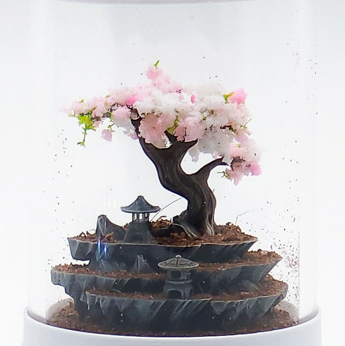 Ready-Made Miniature Bonsai Terrarium By Bantam.Earth