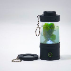 Miniature Planted Freshwater Aquarium Keychain