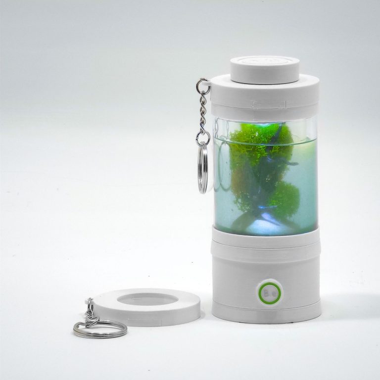 Tiny Keychain, Planted Freshwater Aquarium