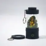 Ready-Made Miniature Roman Terrarium By Bantam.Earth
