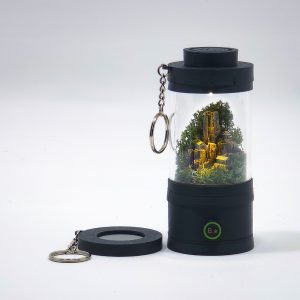 Ready-Made Miniature Roman Terrarium By Bantam.Earth