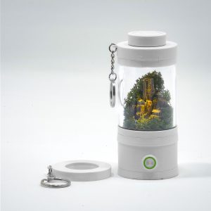 Ready-Made Miniature Roman Terrarium By Bantam.Earth