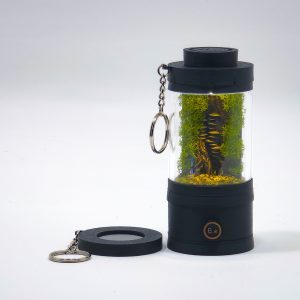 Ready-Made Miniature Mushroom Terrarium By Bantam.Earth