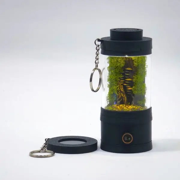 Ready-Made Miniature Mushroom Terrarium By Bantam.Earth