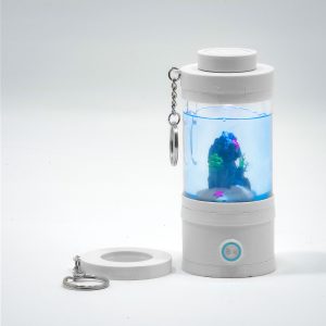 Miniature Saltwater Aquarium Keychain