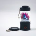 Ready-Made Miniature Japanese Terrarium By Bantam.Earth