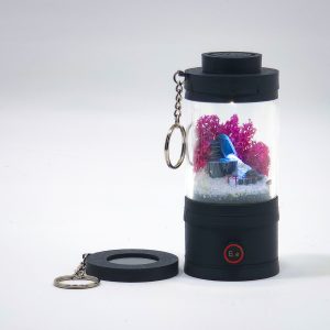 Ready-Made Miniature Japanese Terrarium By Bantam.Earth