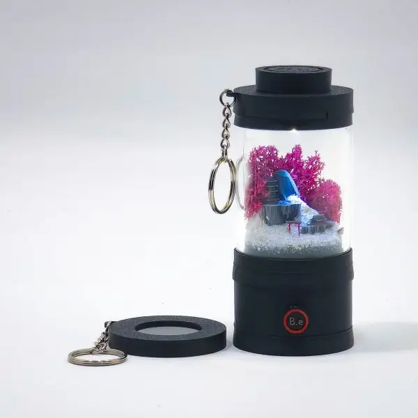 Ready-Made Miniature Japanese Terrarium By Bantam.Earth