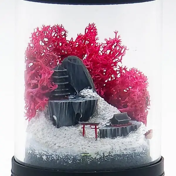 Ready-Made Miniature Japanese Terrarium By Bantam.Earth