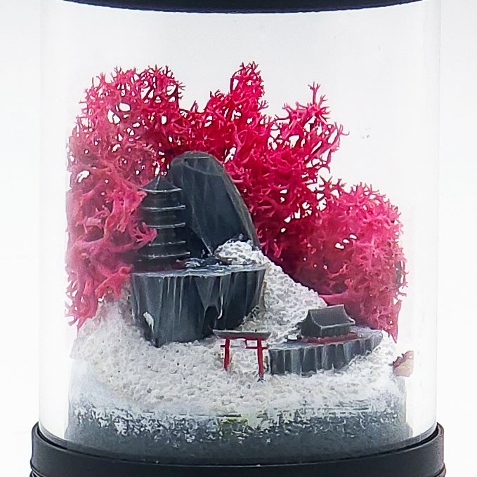 Ready-Made Miniature Japanese Terrarium By Bantam.Earth