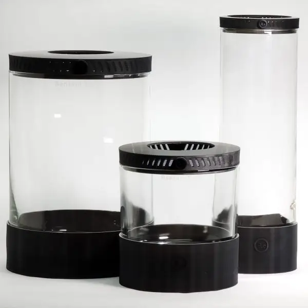 Bantamarium V1 Jars with Terrarium Lids and Terrarium Bases