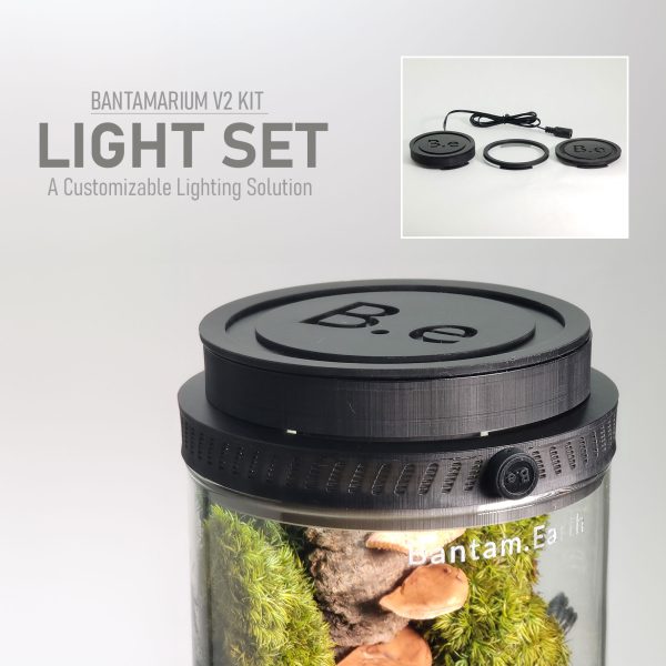 Customizable Terrarium Light Set | Bantam Series Add-On
