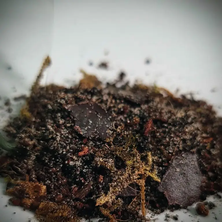 Customizable Springtail Enclosure Kit | Bantam-V2 Bola 2