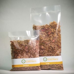Bog Substrate Mix For Terrariums (Large & Medium Bags Front)