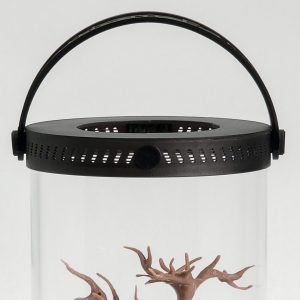 "Adventure Set" Bug Catcher Kit | Bantam V2 Series Upgrade