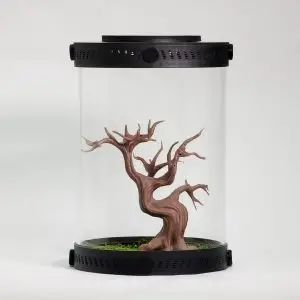 Small Japanese Bonsai Tree Decor For Terrariums