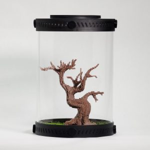 Small Block Bonsai Tree Decor For Terrariums | Bantam.earth