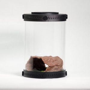 Miniature Tree Trunk Decor Insect Hideout | By Bantam.Earth