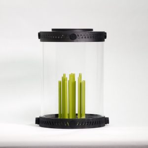 Small Block Bamboo Stakes Decor For Terrariums
