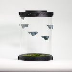 Mini Magnetic Rock Ledge & Cubby Decor Set For Terrariums