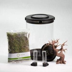 Customizable Praying Mantis Enclosure Kit | Bantam-V2 Mantis