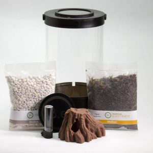 Customizable Springtail Enclosure Kit | Bantam-V2 Bola 2