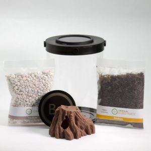 Customizable Springtail Terrarium Kit | Bantam-V2 Bola