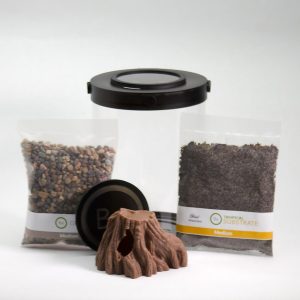 Adaptable Millipede Terrarium Kit | Bantam-V2 Milli Series