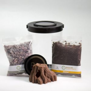 Customizable Land Snail Terrarium Kit | Bantam-V2 Gastro