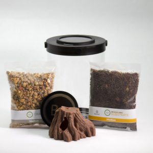 Customizable Beetle Terrarium Kit | Bantam-V2 Cocci Series