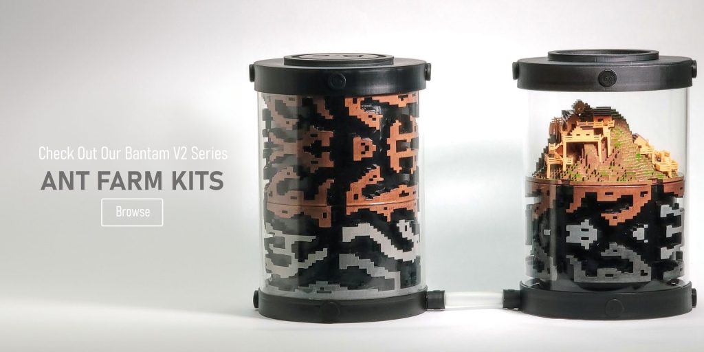 Customizable Ant Farm Kits for Ant Keeping| Bantamarium V2 Series