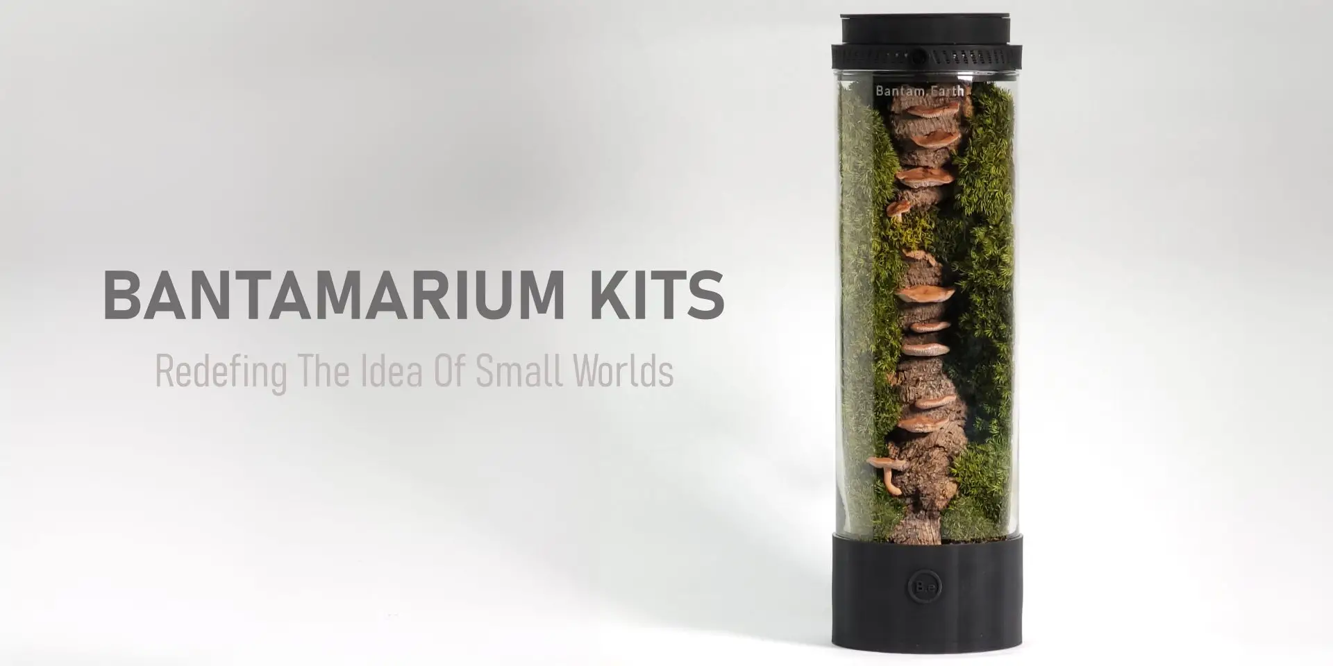 Bantamarium Kits