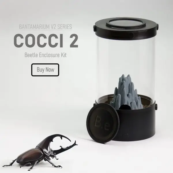 Customizable Beetle Enclosure Kit | Bantam-V2 Cocci 2 Series