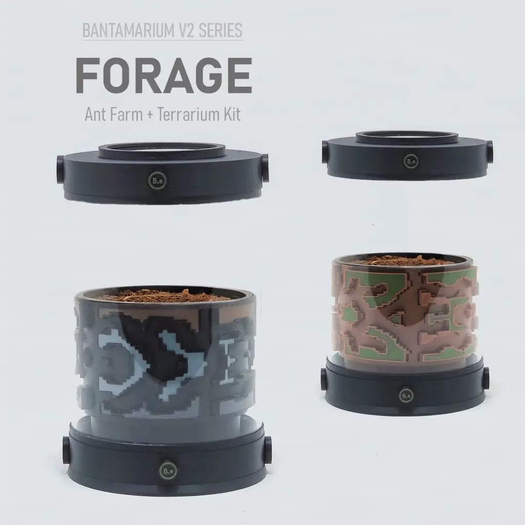 Expandable Ant Terrarium Kit | Bantam-V2 Forage Series