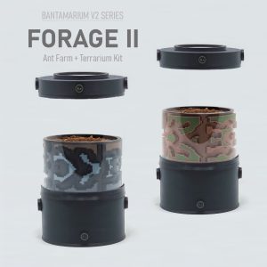 Expandable Ant Terrarium Kit | Bantam-V2 Forage 2 Series