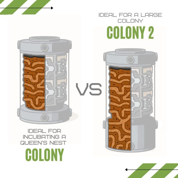 Bantamarium V2 Colony Series Comparison