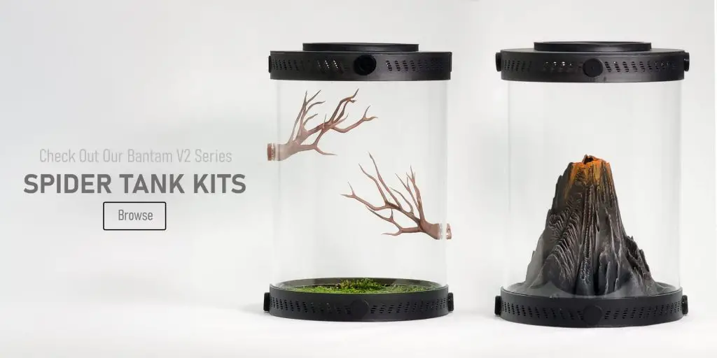 Customizable Spider Enclosures | Bantam V2 Series