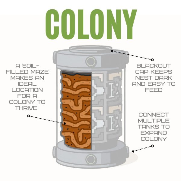 Bantamarium V2 Colony Diagram
