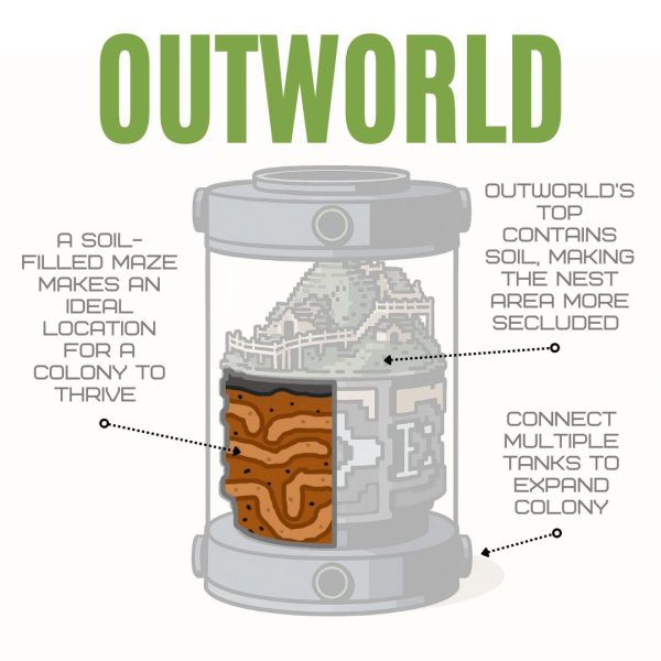 Bantamarium V2 Outworld Diagram