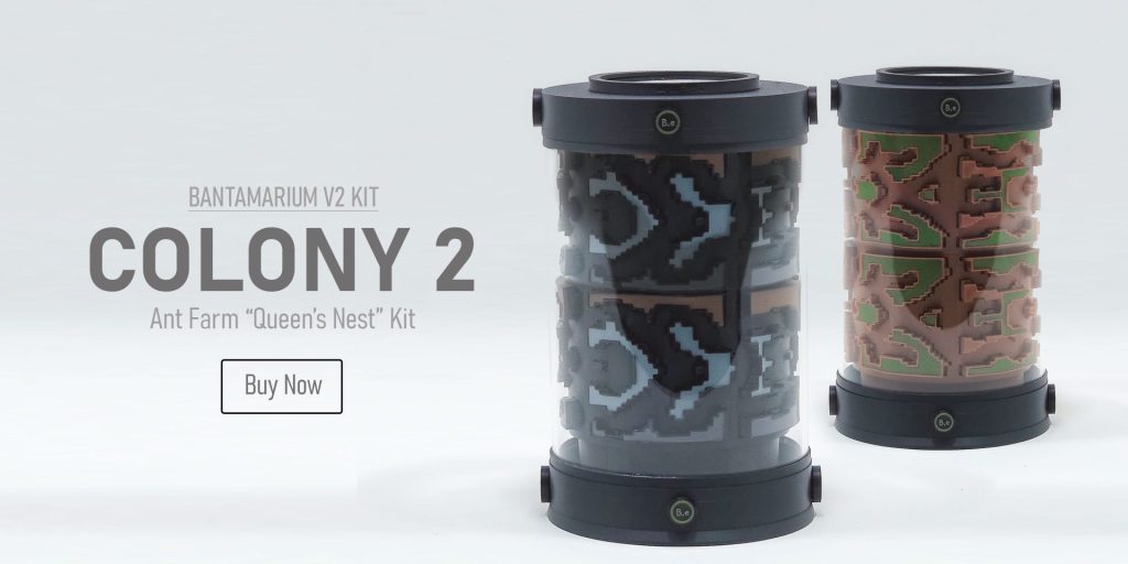 Expandable Ant Terrarium Kit | Bantam-V2 Colony 2 Series