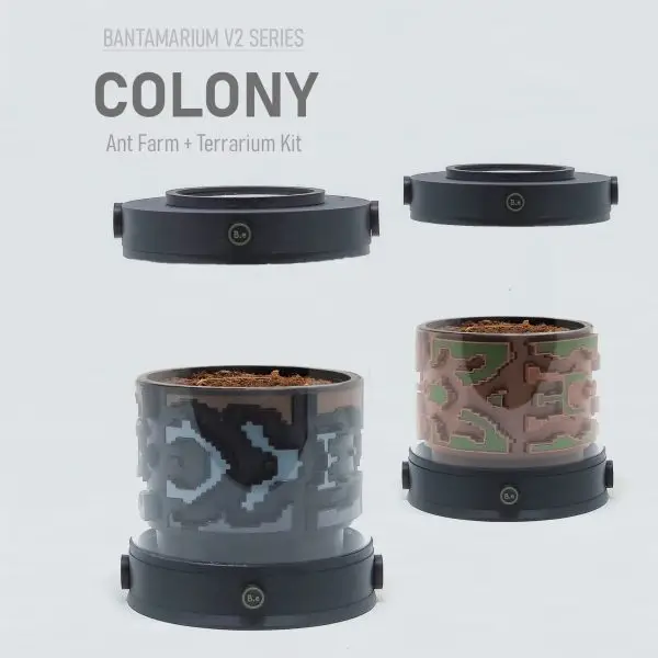 Expandable Ant Terrarium Kit | Bantam-V2 Colony Series