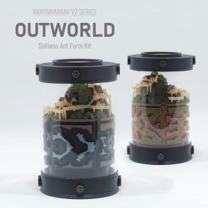 Expandable Ant Enclosure Kit | Bantam-V2 Outworld Series