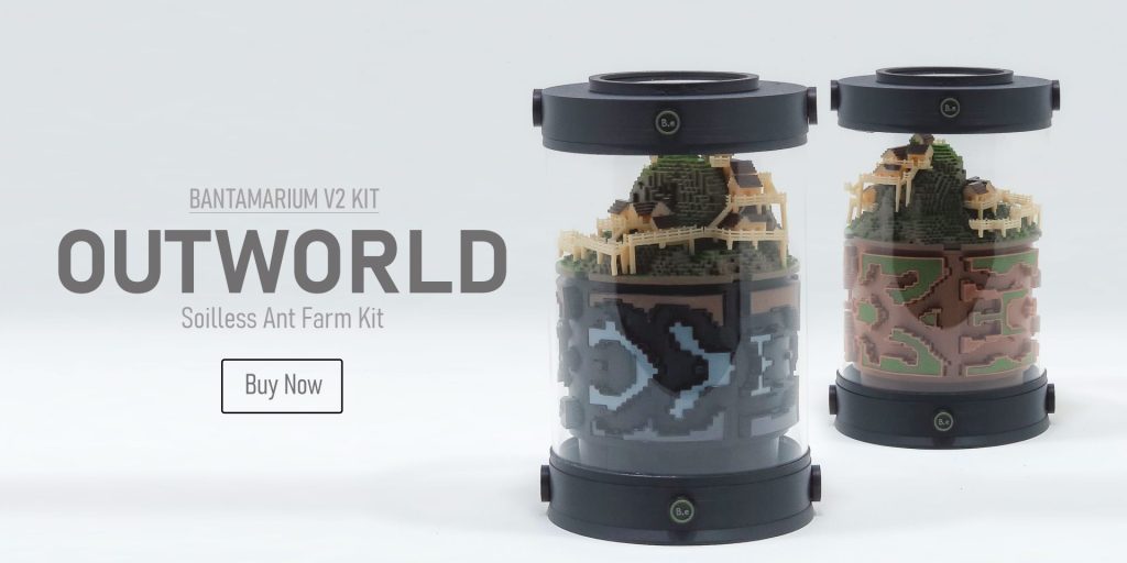 Expandable Ant Enclosure Kit | Bantam-V2 Outworld Series